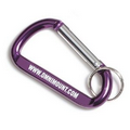 Standard Carabiner Key Holder (3 1/8"x1 3/4"x3/8")